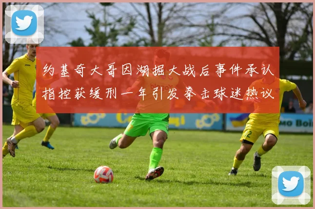 约基奇大哥因湖掘大战后事件承认指控获缓刑一年引发拳击球迷热议