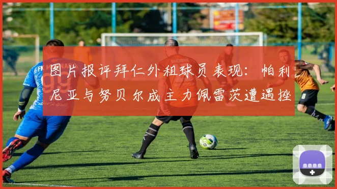 图片报评拜仁外租球员表现：帕利尼亚与努贝尔成主力佩雷茨遭遇挫折