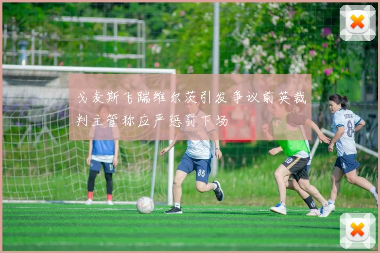 戈麦斯飞踹维尔茨引发争议前英裁判主管称应严惩罚下场