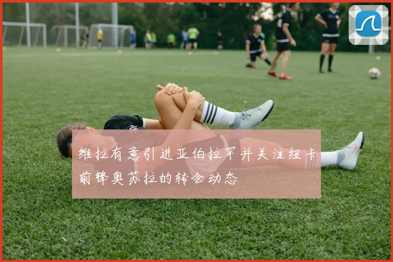 维拉有意引进亚伯拉罕并关注纽卡前锋奥苏拉的转会动态