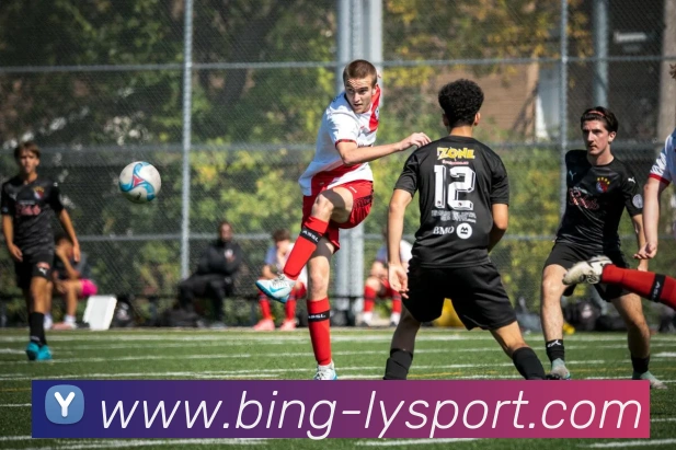 乐鱼体育平台生态图