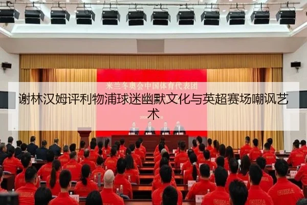 谢林汉姆评利物浦球迷幽默文化与英超赛场嘲讽艺术 - leyu.com